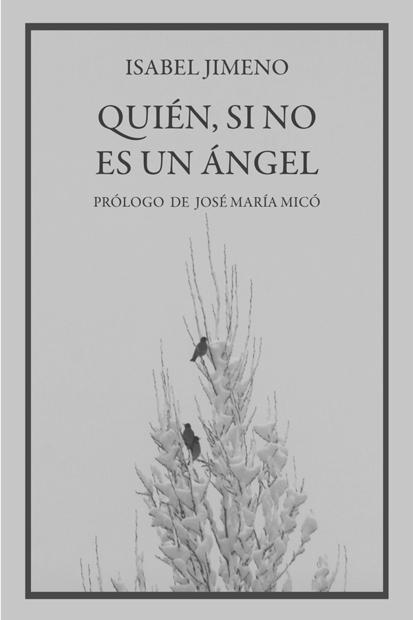 Portada Quién si no es un ángel